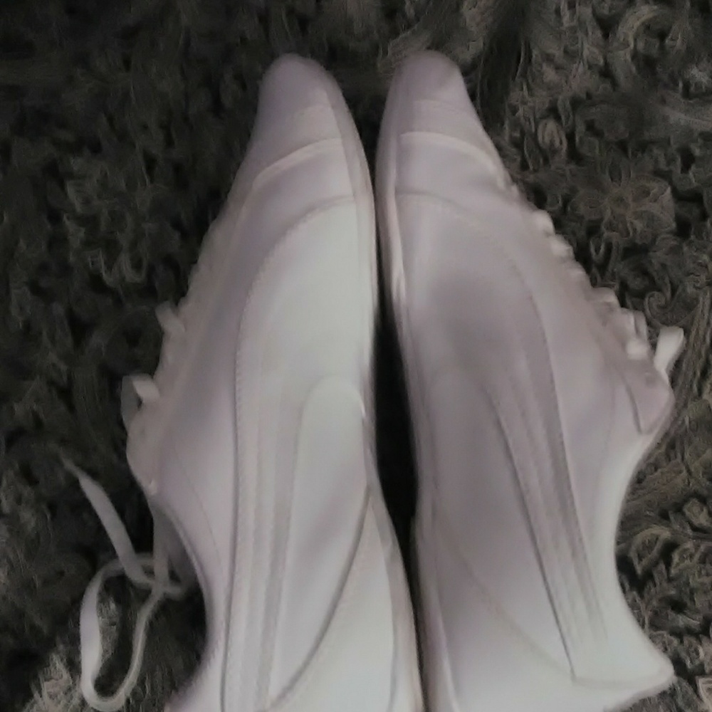 Pumas - Picture 4 of 4